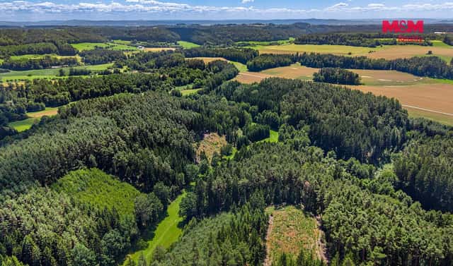 Prodej lesa 11 944 m², Bílá, okres Liberec
