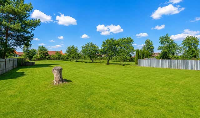 Prodej stavebního pozemku 2 427 m², Březovice, okres Mladá Boleslav