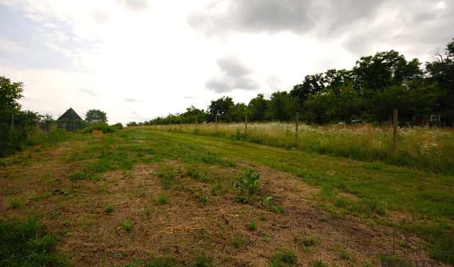 Prodej stavebního pozemku 1 992 m², Lednice, okres Břeclav