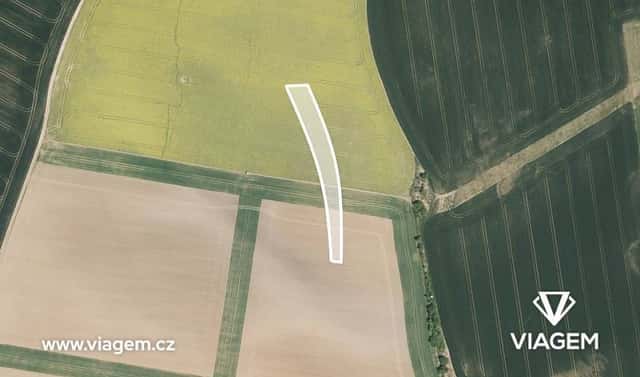 Prodej pole 879 m², Nítkovice, okres Kroměříž