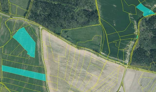 Prodej pole 53 797 m², Louňová, okres Plzeň-jih