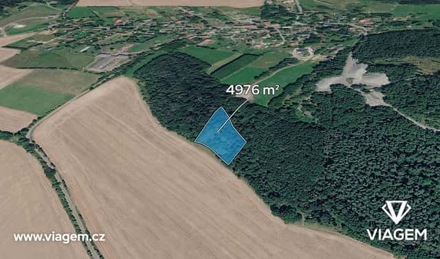 Prodej lesa 2 488 m², Tachov, okres Česká Lípa