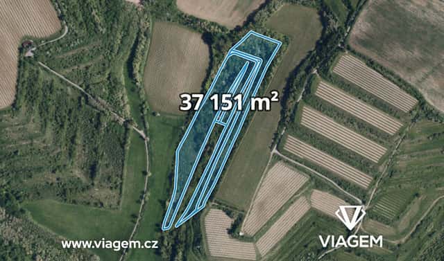 Prodej pole 37 151 m², Nikolčice, okres Břeclav