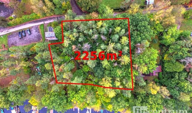 Prodej lesa 2 256 m², Slapy, okres Praha-západ