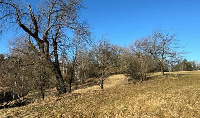 Prodej stavebního pozemku 3 022 m², Doudleby, okres České Budějovice