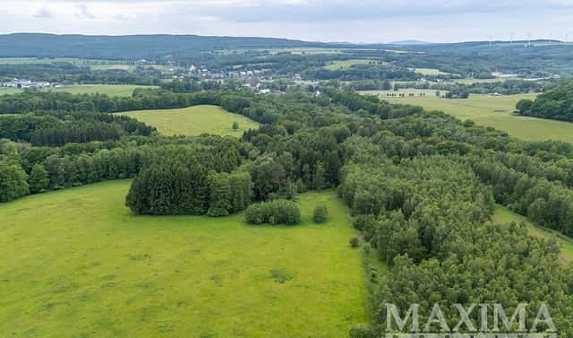 Prodej pole 33 624 m², Višňová – Předlánce, okres Liberec