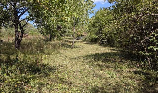 Prodej zahrady 463 m², Zaječí hora, Brno – Sadová, okres Brno-město