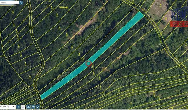 Prodej lesa 2 800 m², Kobylí, okres Břeclav