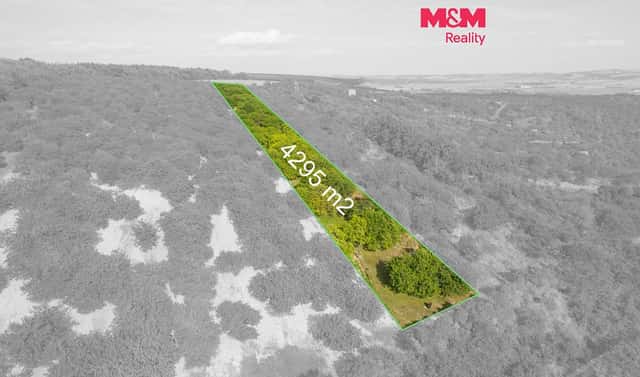 Prodej pole 4 295 m², Židlochovice, okres Brno-venkov