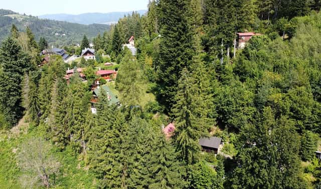 Prodej lesa 644 m², Dolní Lomná, okres Frýdek-Místek