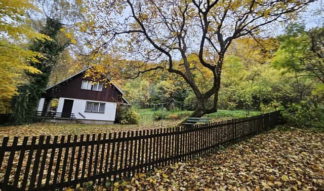 Prodej louky 1 687 m², Hynčina, okres Šumperk