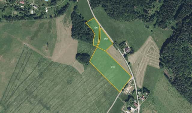 Prodej louky 5 847 m², Jílové u Držkova, okres Jablonec nad Nisou