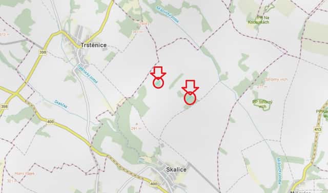 Prodej lesa 1 312 m², Skalice – Horní Bříza, okres Znojmo