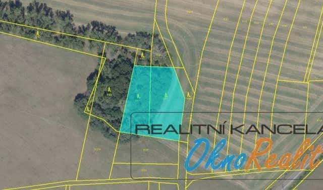Prodej lesa 3 592 m², Vítězovská, Velim, okres Kolín