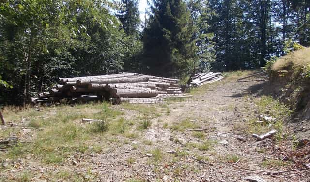 Prodej stavebního pozemku 3 955 m², Pstruží, okres Frýdek-Místek