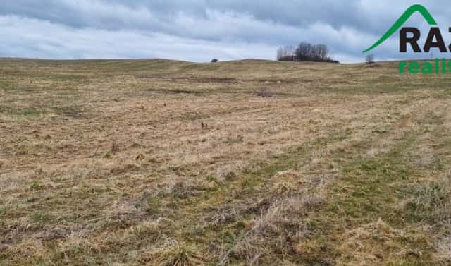 Prodej pole 387 228 m², Chodský Újezd, okres Tachov