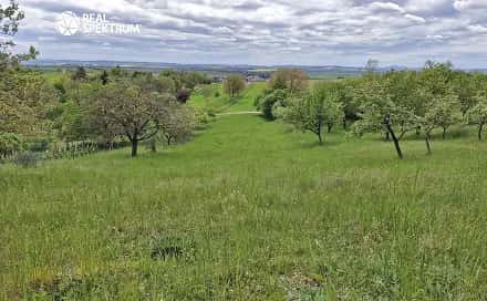 Prodej chaty/chalupy 10 m² s pozemkem 3 069 m², Sivice, okres Brno-venkov