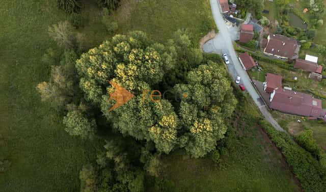 Prodej lesa 3 373 m², Větřní, okres Český Krumlov