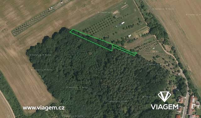 Prodej lesa 446 m², Březolupy, okres Uherské Hradiště