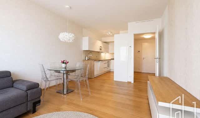 Pronájem bytu 2+kk 61 m², Hodonínská, Praha 4 – Michle