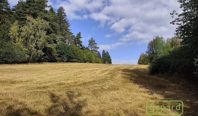 Prodej stavebního pozemku 14 307 m², Světlík, okres Český Krumlov