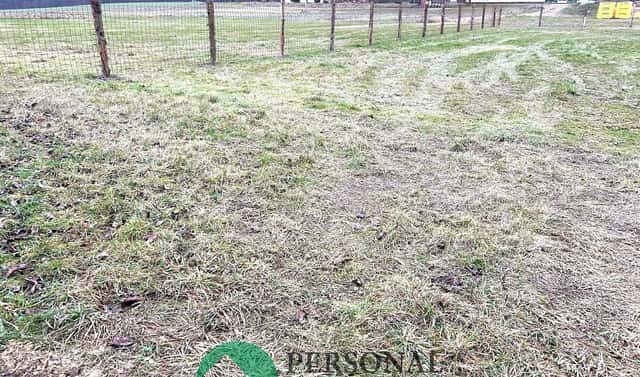 Pronájem pole 1 694 m², Žáravice, okres Pardubice