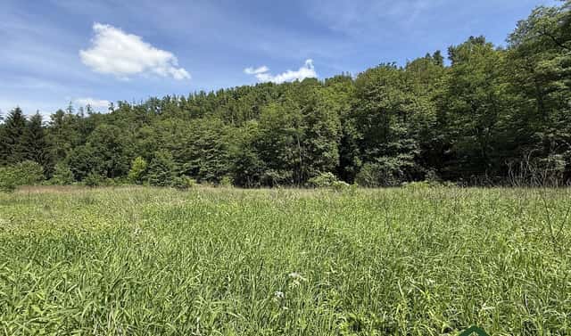 Prodej louky 3 200 m², Bílovice nad Svitavou, okres Brno-venkov