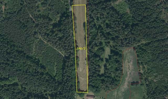 Prodej pozemku 7 718 m², Chlum u Třeboně – Mirochov, okres Jindřichův Hradec