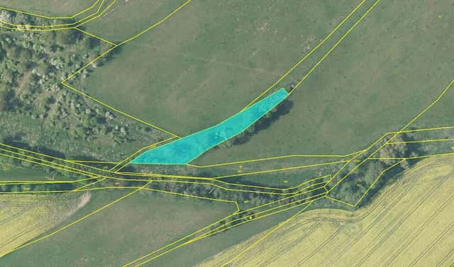 Prodej louky 2 199 m², třída Osvobození, Broumov – Velká Ves, okres Náchod