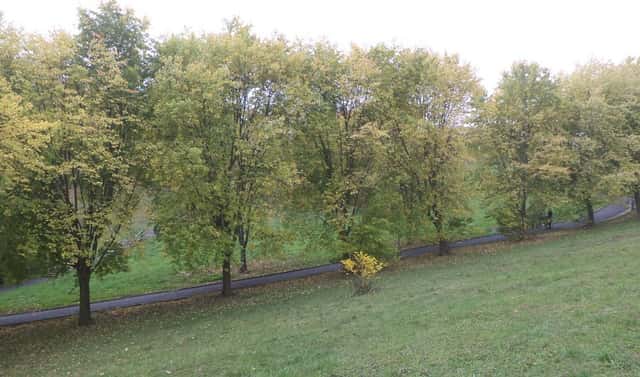 Prodej pozemku 1 044 m², Ústí nad Labem – Mojžíř