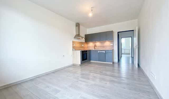 Pronájem bytu 3+kk 60 m², Mnich, okres Pelhřimov