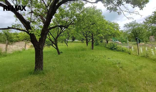 Prodej zahrady 1 279 m², Vážany nad Litavou, okres Vyškov
