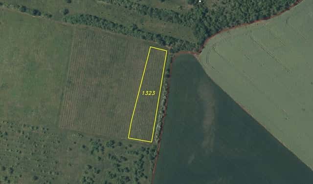 Prodej pole 3 855 m², Kozly, okres Louny