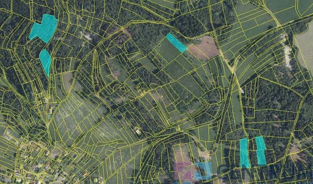Prodej lesa 15 992 m², Železný Brod – Jirkov, okres Jablonec nad Nisou