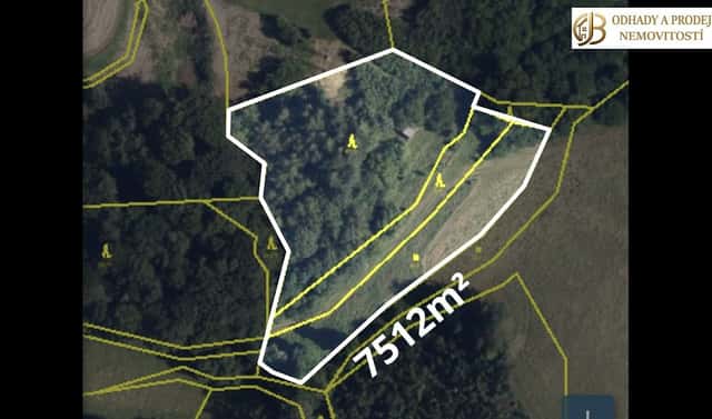 Prodej louky 7 512 m², Dlouhomilov, okres Šumperk