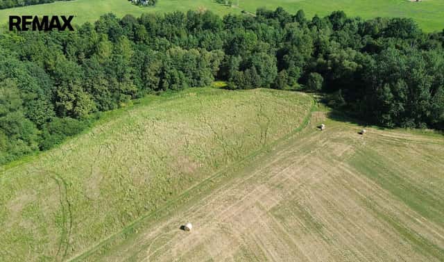 Prodej pozemku 7 771 m², Sedliště, okres Frýdek-Místek