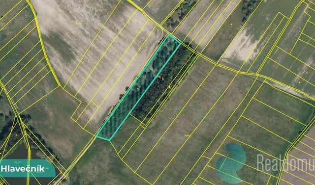 Prodej pole 3 089 m², Hlavečník, okres Pardubice