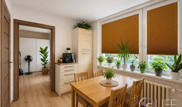 Prodej bytu 3+1 75 m², Pod Lipou, Hořice, okres Jičín