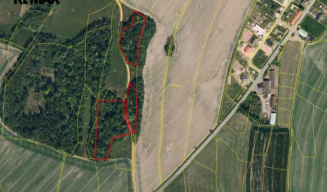 Prodej lesa 25 088 m², Spálov, okres Nový Jičín