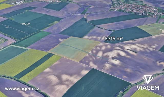 Prodej pole 1 052 m², Šitbořice, okres Břeclav