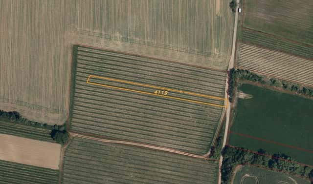 Prodej pozemku 2 077 m², Ořechov, okres Uherské Hradiště