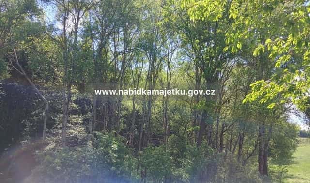 Prodej pozemku 3 373 m², Netřebice, okres Český Krumlov