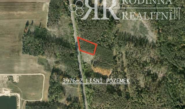 Prodej lesa 3 976 m², Ovčáry, okres Kolín