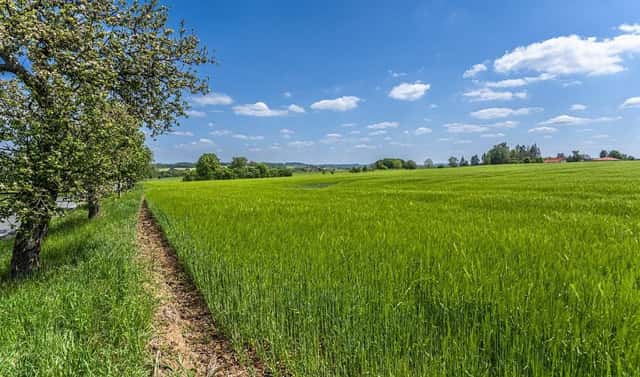 Prodej stavebního pozemku 805 m², Sulice, okres Praha-východ