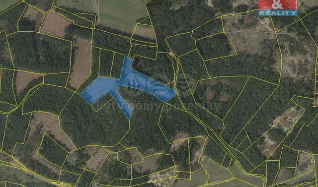 Prodej lesa 22 084 m², Přechovice, okres Strakonice