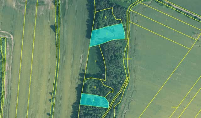 Prodej lesa 5 674 m², Skály, okres Písek