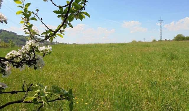 Prodej stavebního pozemku 2 187 m², Turnov – Pelešany, okres Semily