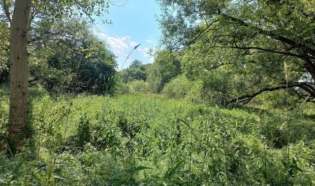 Prodej pozemku 4 517 m², Vodňany, okres Strakonice