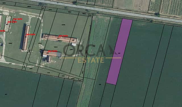 Prodej pole 2 963 m², Přítluky, okres Břeclav