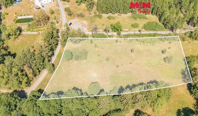 Prodej louky 8 235 m², Bezdružice – Řešín, okres Tachov